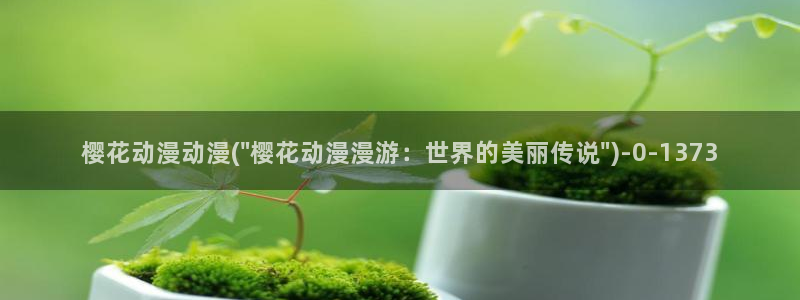 文豪野犬樱花动漫