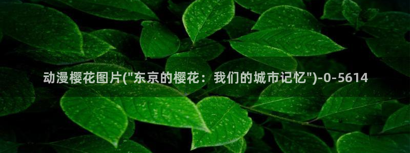 樱花动漫官方网