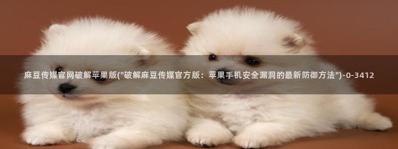 麻豆百度收录
