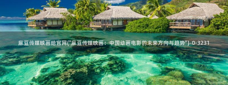 麻豆演员资料