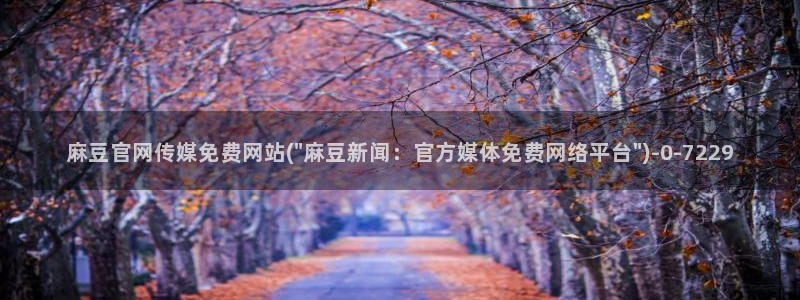 麻豆视频可读内容