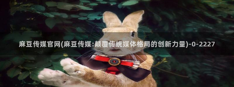 麻豆视频在线看