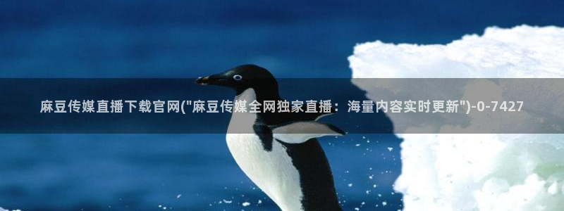 麻豆最新视频