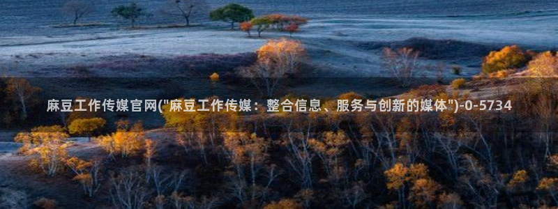 麻豆视频推荐
