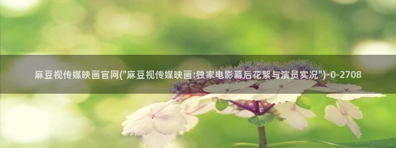 麻豆视频站群文案