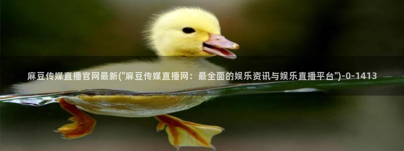 麻豆视频站群文案