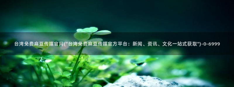 麻豆情感剧情