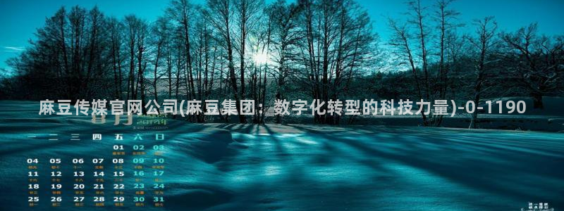 麻豆百度收录