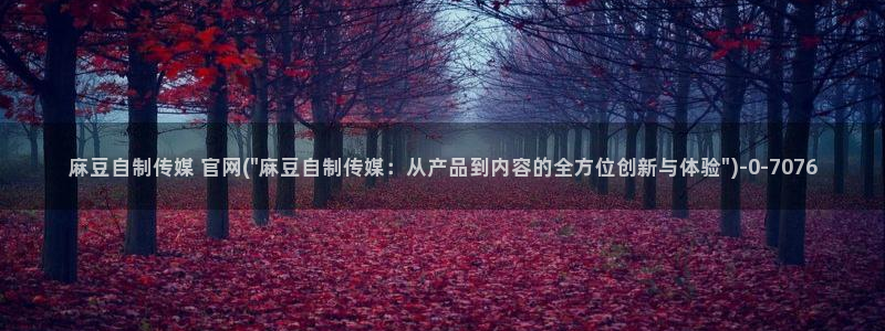 麻豆视频站群文案