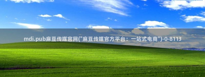 麻豆视频解说文案