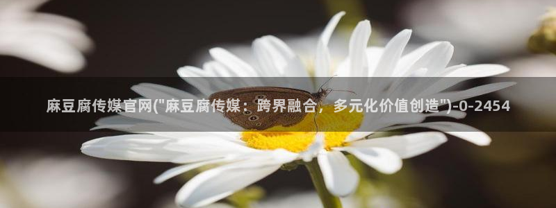 麻豆传媒新片
