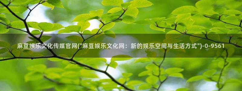 麻豆免费视频观看