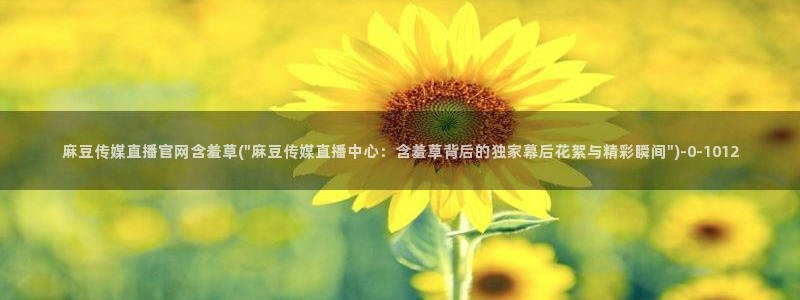 麻豆视频资料维护