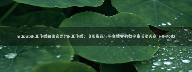 麻豆视频导航