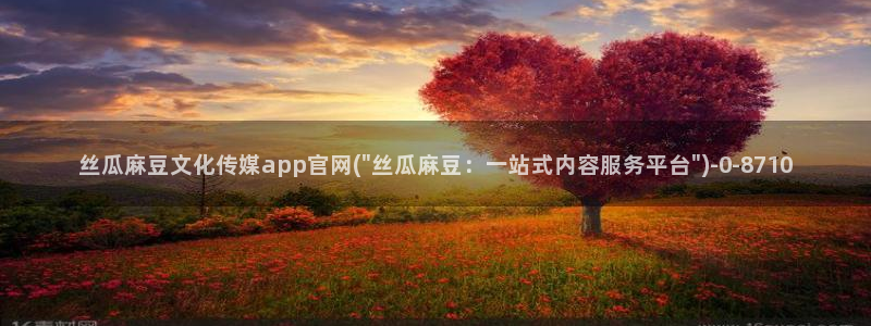 麻豆视频采集规则