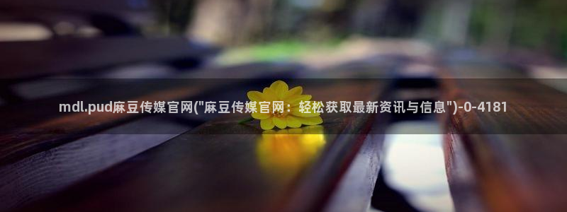 麻豆视频文章描述