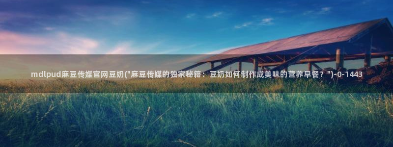 麻豆视频资料文案