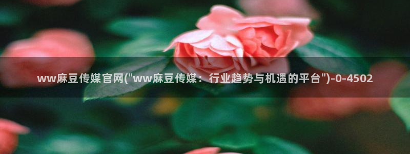 麻豆视频低竞争词：ww麻豆传媒官网(\