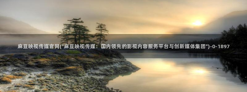 麻豆自定义库