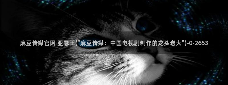 麻豆职场剧情：麻豆传媒官网 亚瑟王(\