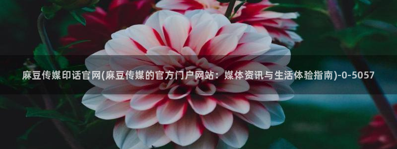 麻豆精选标题：麻豆传媒印话官网(麻豆传媒的官方门户网站：媒体资讯与生活体