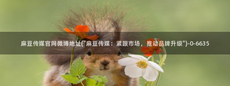 麻豆视频排行：麻豆传媒官网微博地址(\