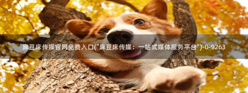 麻豆标题库