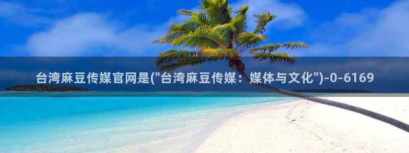 麻豆传媒在线观看