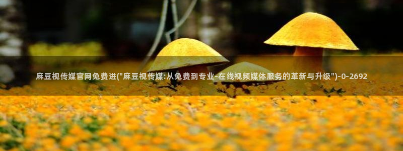 麻豆视频相关推荐词