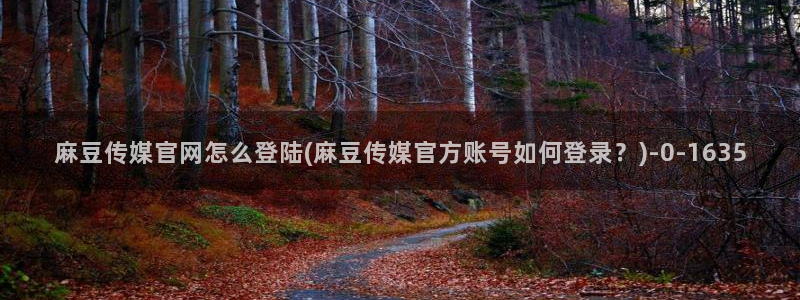 麻豆视频优质内容