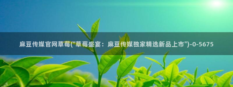 麻豆演员资料