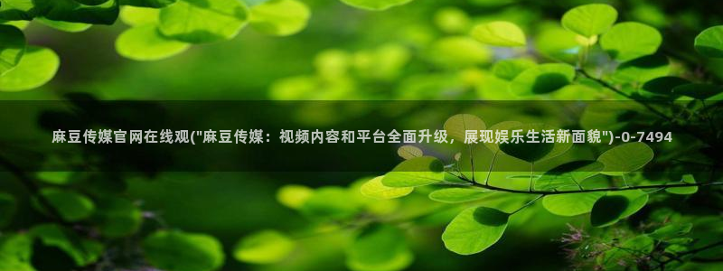 麻豆都市剧情