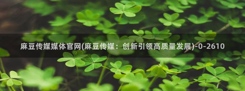 麻豆传媒视频