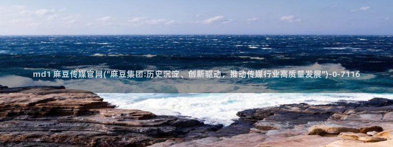 麻豆视频标签