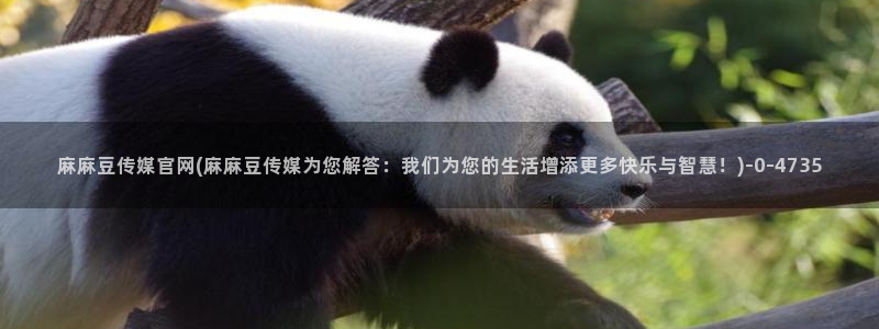 麻豆专题描述