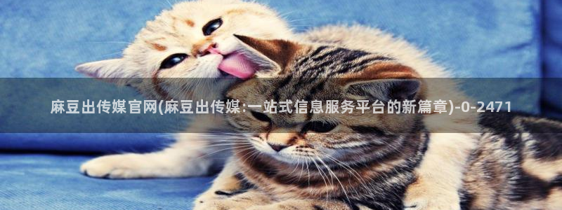 麻豆视频内容聚合